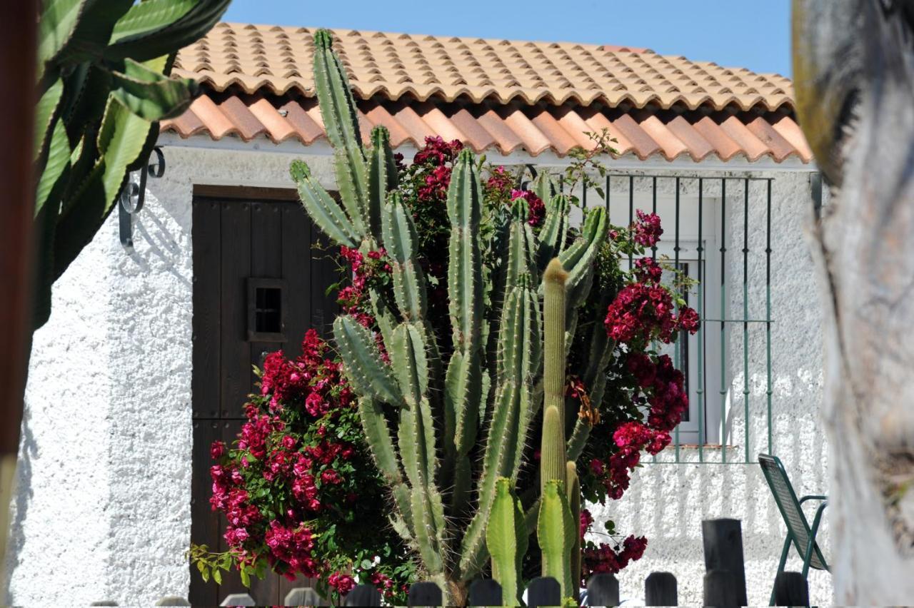 Cortijo Flamingos Apartment Chiclana de la Frontera Bagian luar foto